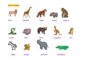 English Worksheet: wild animals