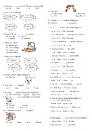 spot on 8th year unit 13 vocab test