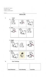 English worksheet: quiz