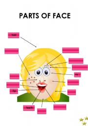 English Worksheet: PARTS OF FACE