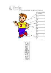 English worksheet:  Human Body