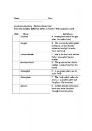 English Worksheet: Photosynthesis Quiz