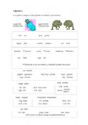 English worksheet: Adjectives and nouns