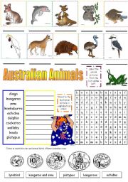 English Worksheet: AUSTRALIAN ANIMALS (PART 2)