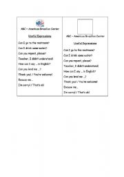 English worksheet: Useful expressions