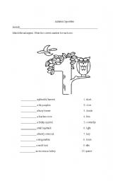 English Worksheet: opposites