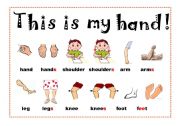 English Worksheet: Body Parts