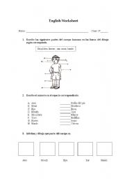 English worksheet: human body