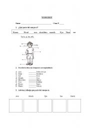 English Worksheet: human body worksheet