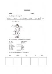 English worksheet: human body worksheet