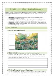 English Worksheet: Live in the rainforest