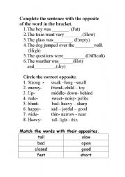 English Worksheet: Fun with opposites