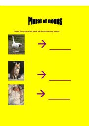 English worksheet: Plural of nouns