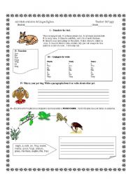English worksheet: MY PET CAT