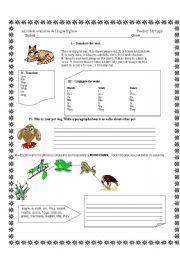 English Worksheet: MY PET CAT