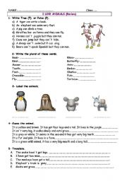 English worksheet: Animals review