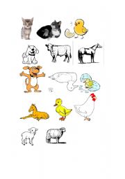 English Worksheet: Animals Mothers and Babies 1