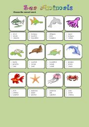 Sea Animals