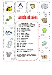 animals and colours