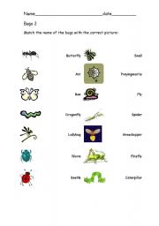 English Worksheet: Bugs 2
