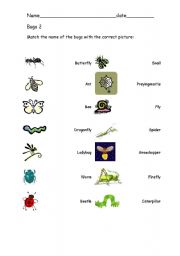 English worksheet: Bugs 2