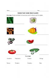 English Worksheet: Foods We Get From Plants