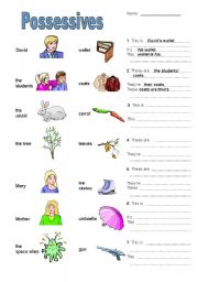 English Worksheet: possesives