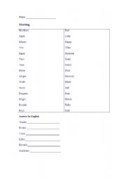 English worksheet: Elementary Spanish Test