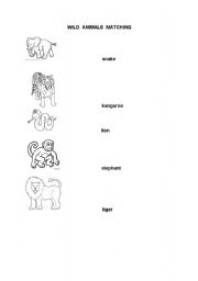 English worksheet: wild animals