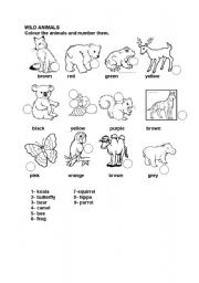 English Worksheet: wild animals