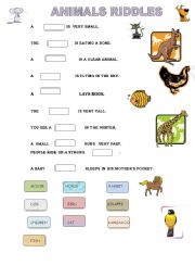 English Worksheet: animals riddles