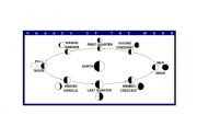 English worksheet: phases  of the moon