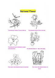 English worksheet: The national flower
