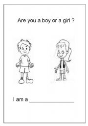 English worksheet: Are you a boy or a girl?