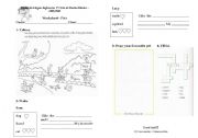 English worksheet: workshhet on animals