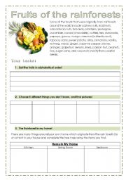 English Worksheet: Fruits of the rainforest