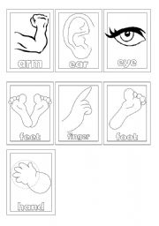 English Worksheet: body parts