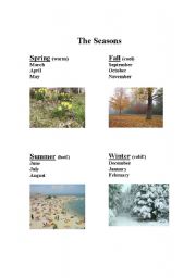 English worksheet: The Seasons
