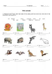 English Worksheet: Wild animals