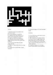 English Worksheet: birds crossword