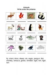 English worksheet: Animals