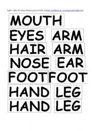 English Worksheet: body parts