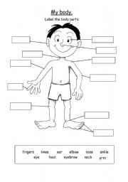 English Worksheet: My body parts