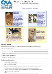 English Worksheet: Dogs for Adoption