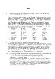 English Worksheet: test