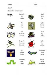 English worksheet: Bugs 5