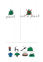 English Worksheet: PlantSorting