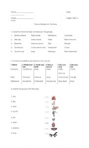 English Worksheet: Personal hygiene & body parts