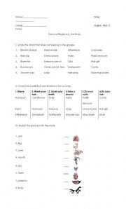 English worksheet: Personal hygiene & body parts