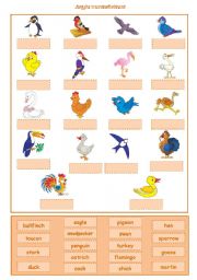 English Worksheet: Birds Cut and Paste